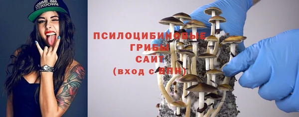 тгк Алзамай