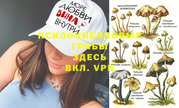 apvp Алексеевка