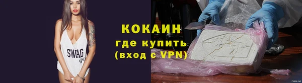 тгк Алзамай