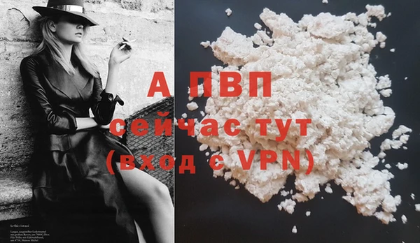 гашик Надым