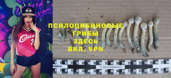 тгк Алзамай