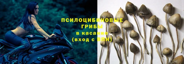 apvp Алексеевка